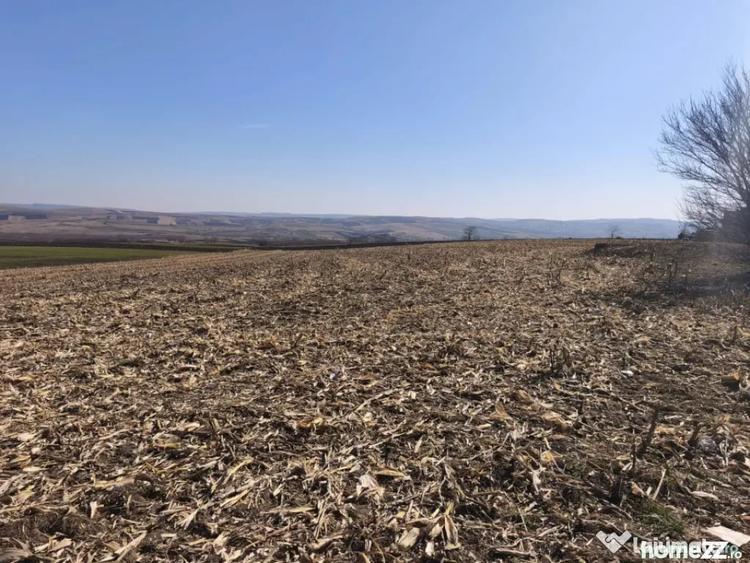 Teren de 6500 mp, în Grănicești