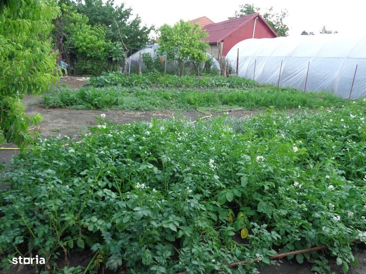 Casă cu 3 camere cu Teren 748 Mp în Central