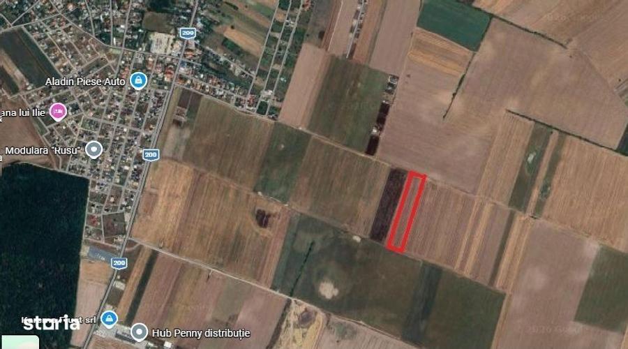 Teren 13.500 mp, investitie ! - 2