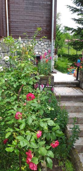 Vila case de vanzare in comarnic - 12