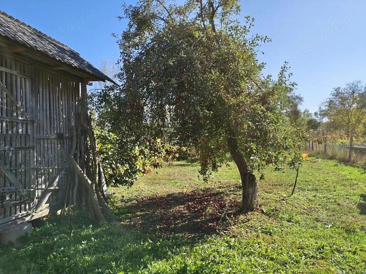 Casă cu Teren 950 Mp în Turbuța