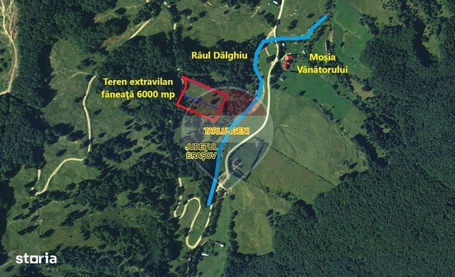 Teren 6000 mp, Valea Dalghiului - Vama Buzaului - vedere catre Ciucas - 1
