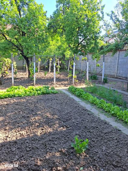 Casă cu 3 camere cu Teren 500 Mp în Rogerius