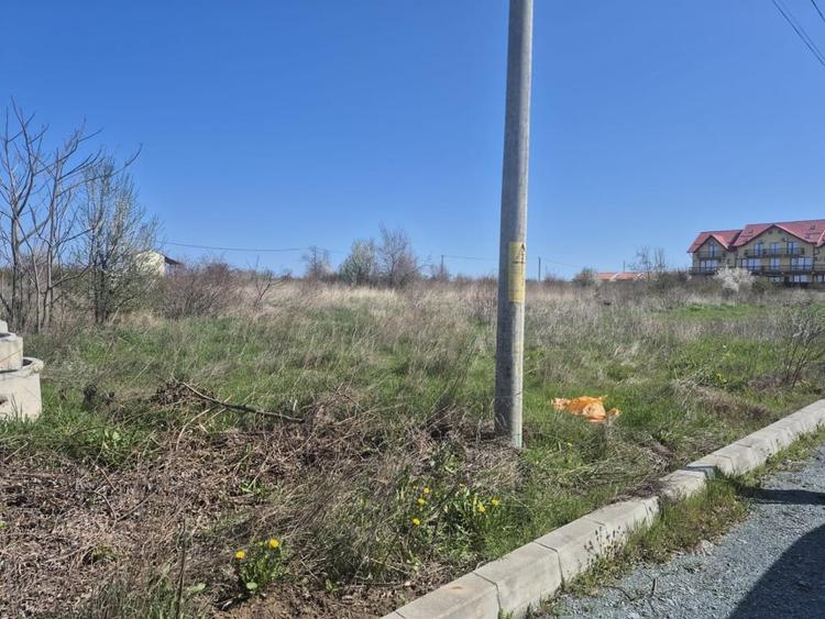 Teren Construcții intravilan de 1000 mp, în Central