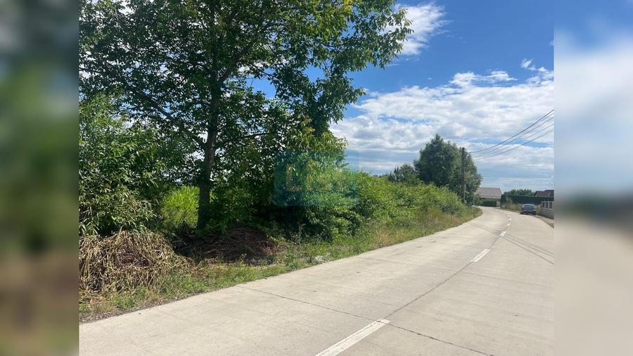 Teren de 5194 mp, în Frătăuții Vechi