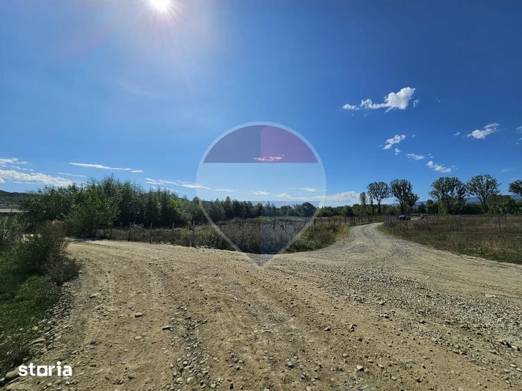 Teren de 3000 mp, în Bocicoiu Mare