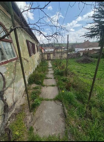 Casă cu 3 camere cu Teren 4000 Mp în Vurpăr