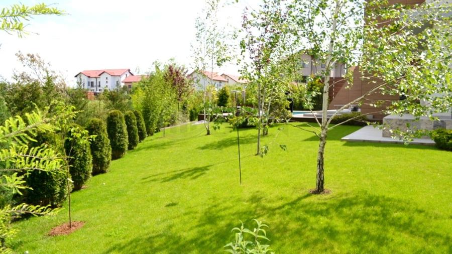 Casă individuală cu 7 camere cu Canalizare în Pipera