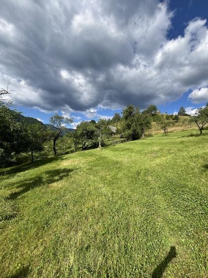 Teren de 5500 mp, în Râu Sadului