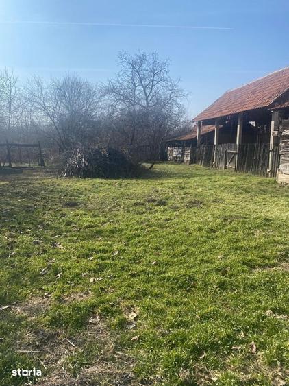 Casă cu 3 camere cu Teren 1500 Mp în Borș