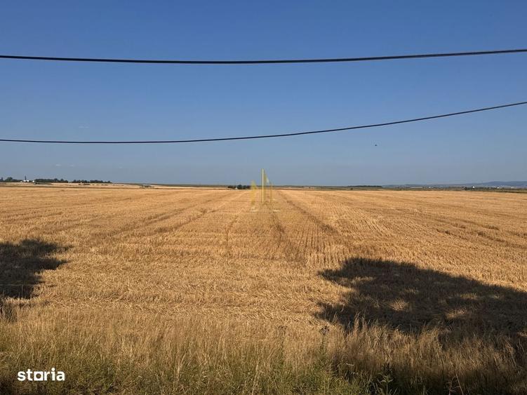 Teren de vanzare 10.200 mp, PlopeniSalcea, zona Aeroportului Suceava - 5