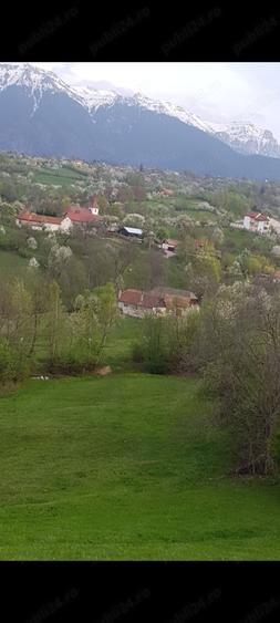 Teren de 18000 mp, în Sohodol