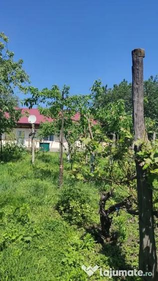 Casă cu 2 camere cu Teren 2000 Mp în David