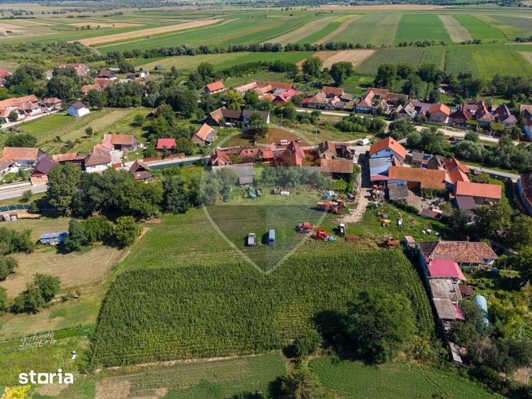 Teren de 1620 mp, în Comana