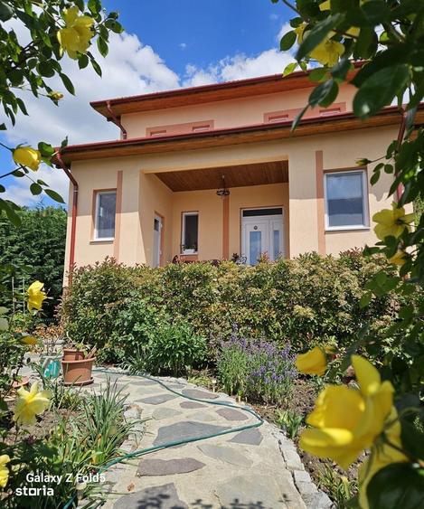Casa noua Podgoria, 1035 mp teren - 19