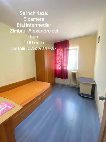 Apartament 3 camere Alexandru cel Bun - Zimbru - 5