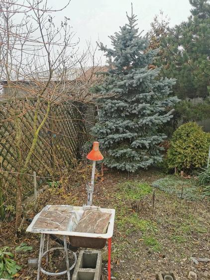 Casă cu Teren 1200 Mp în Gratia