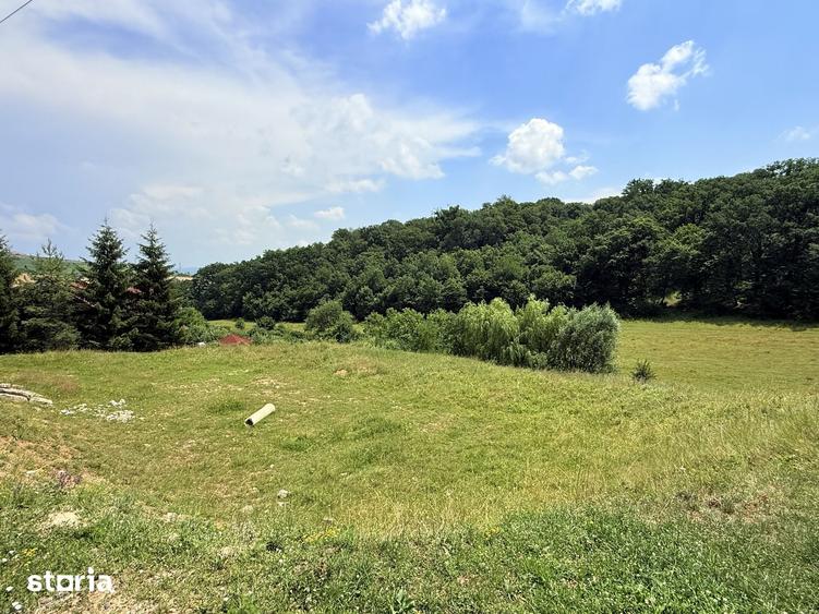 Teren de 2500 mp, în Sântana de Mureș