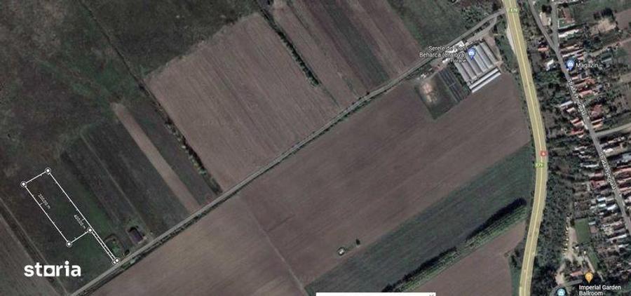 Teren de 6000 mp, în Coțofenii din Față