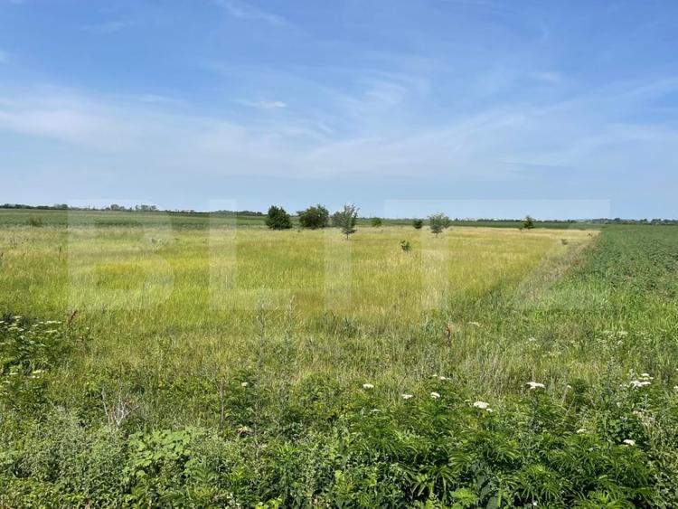 Teren agricol extravilan de 4994 mp, în Nisipurile