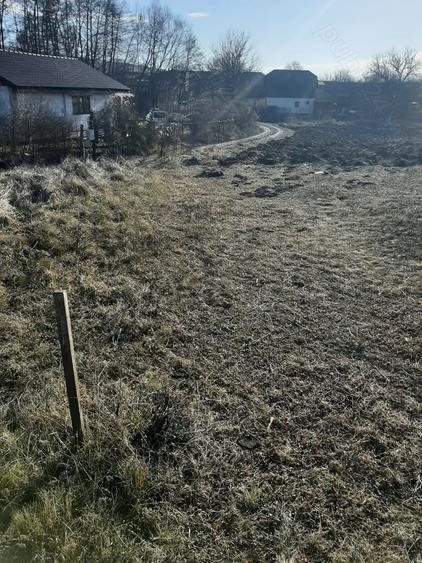 Teren de 3200 mp, în Petreni