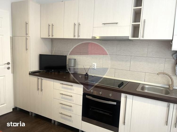 Apartament cu 1 camere de inchiriat in zona Centrul Istoric - 3