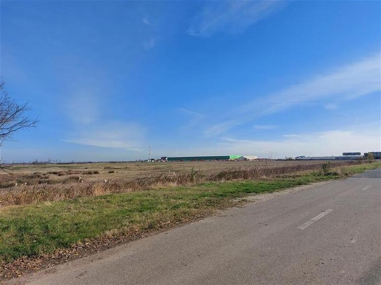 Teren Construcții intravilan de 170000 mp, în Nord