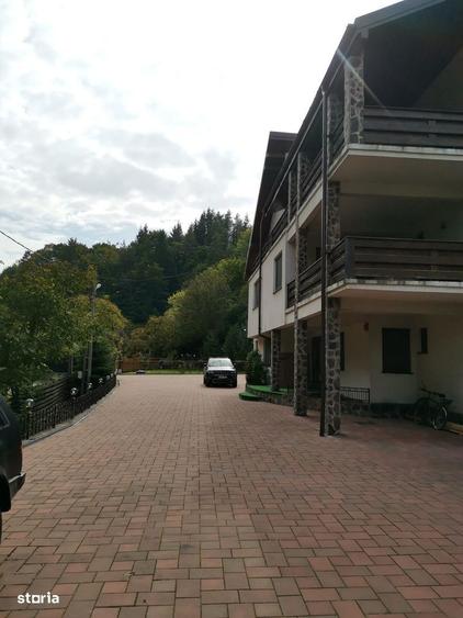 Pensiune de vis la marginea orasului Piatra Neamt - 5