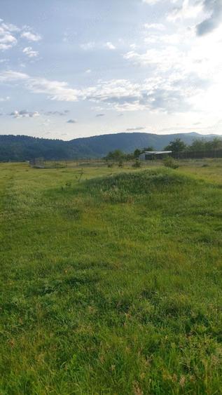 Teren de 350 mp, în Dumbrava