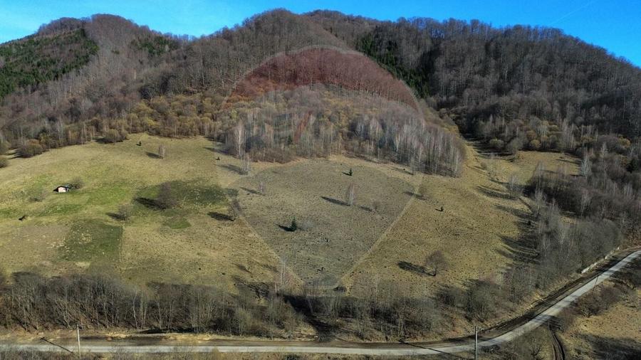Teren agricol extravilan de 16466 mp, în Mara