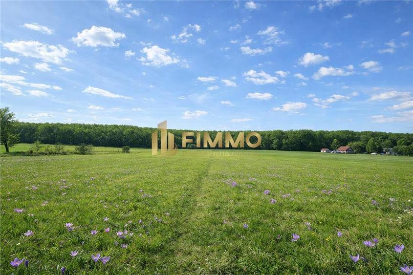 Teren Construcții intravilan de 3200 mp, în Dragomirna