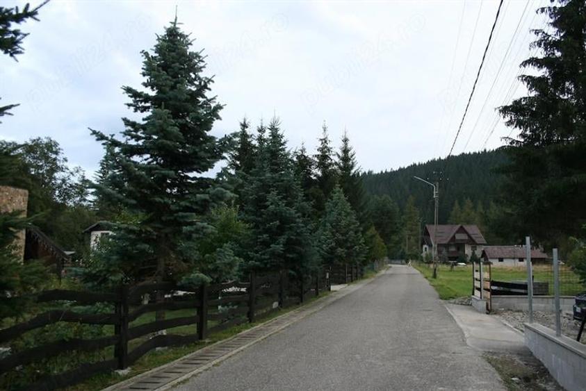 Teren Construcții extravilan de 13841 mp, în Valea Putnei