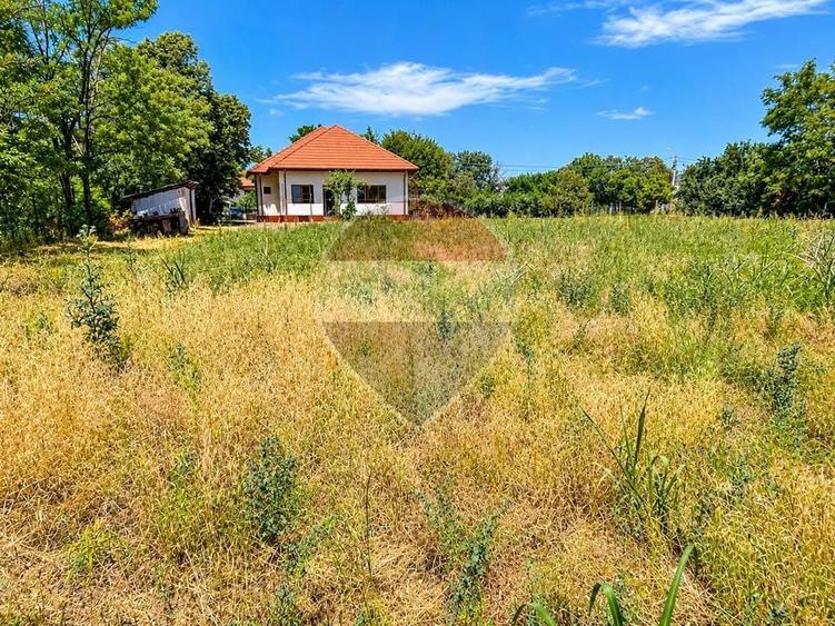 Casă individuală cu 6 camere cu Teren 4800 Mp în Ciocănești