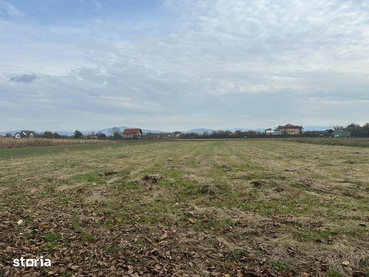 Teren de 2700 mp, în Hărman