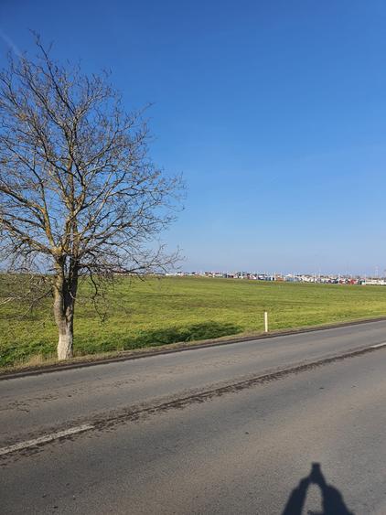 Teren Construcții intravilan de 25000 mp, în Agigea