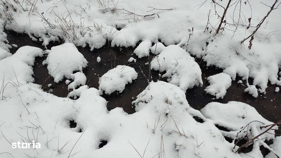 Teren de vanzare in comuna Saru Dornei Judetul Suceava - 4