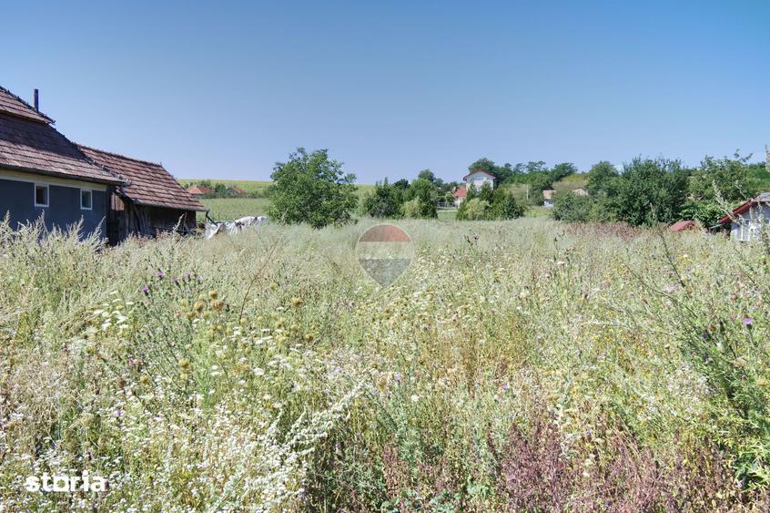 Teren de vanzare in Luna, Campia Turzii - 4