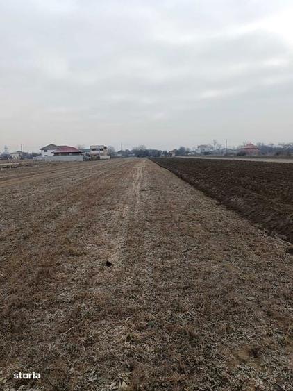 Teren de 4800 mp, în Mărăcineni