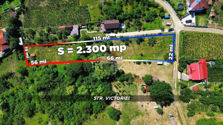 Teren agricol extravilan de 2300 mp, în Valea Borcutului