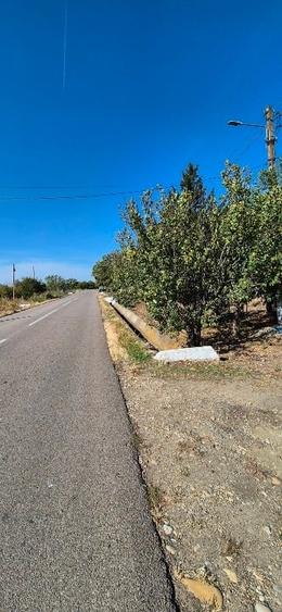 Casă individuală cu 3 camere cu Teren 1000 Mp în Curătești