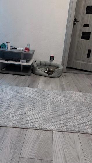 Apartament cu 2 camere nedecomandat în Central