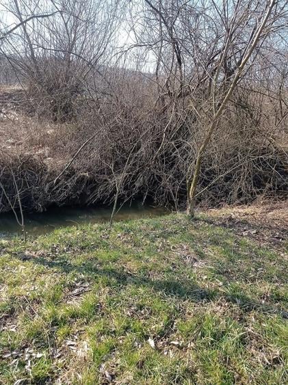 Teren de 1000 mp, în Borșa