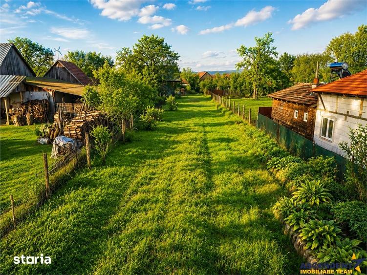 FILM! Casa cu sura, pivnita, balta cu pesti, 2.280 mp teren roditor, L - 20