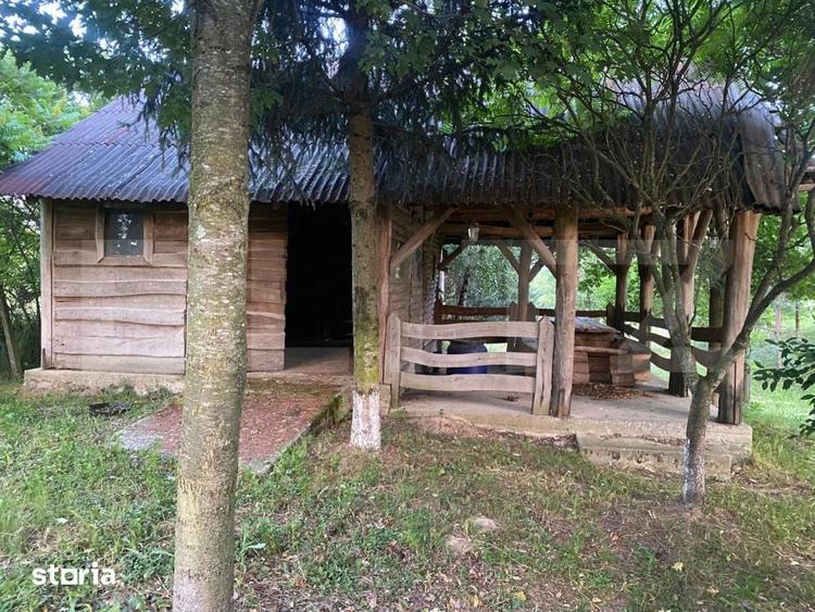 Vila deosebita cu 30 ari teren si facilitati complete Viile Satu M - 4