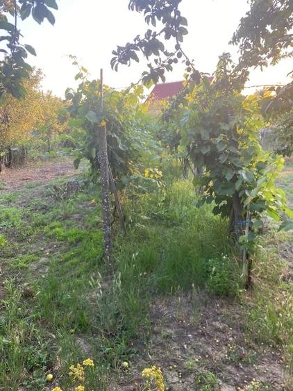 Casă individuală cu 5 camere cu Canalizare în Cordău