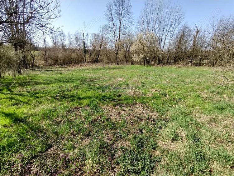 Casă cu Teren 3800 Mp în Răchitova