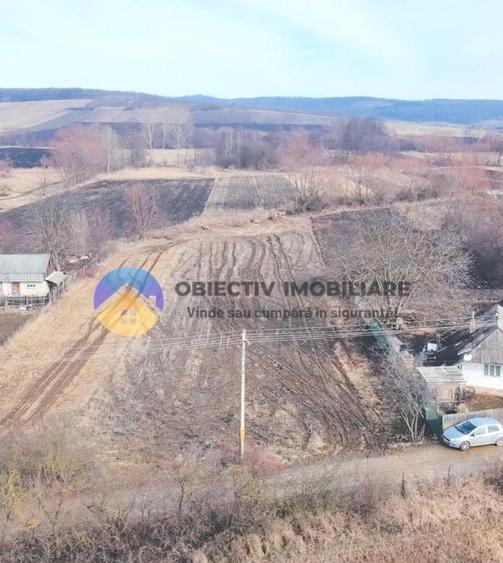 Teren intravilan de 10515 mp, în Bodești