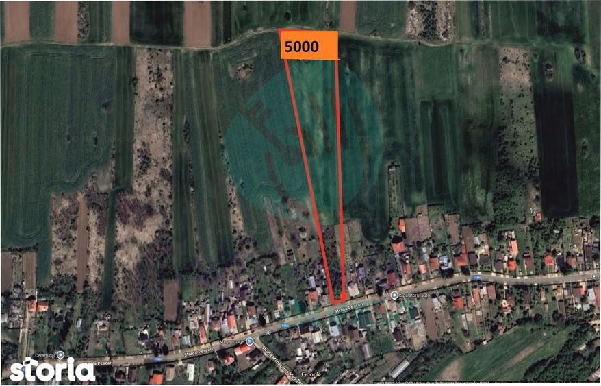 Teren de 5000 mp, în Gruiu