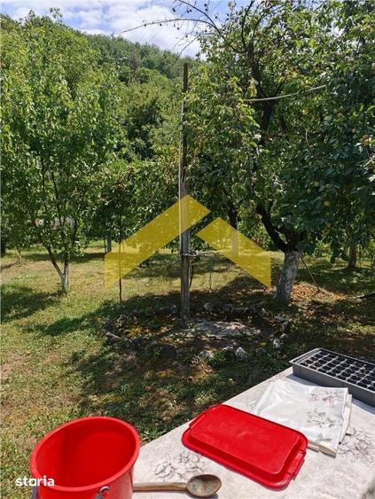 Casă cu 4 camere cu Teren 2000 Mp în Cuiaș