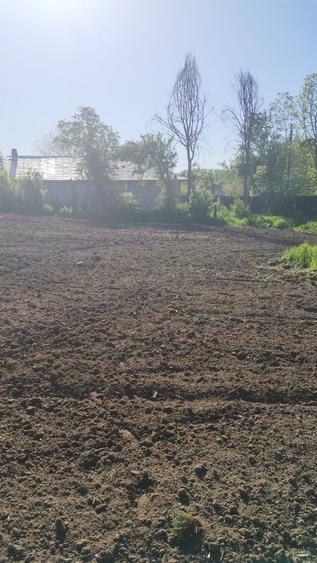 Teren de 1500 mp, în Stoenești